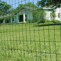 powder coated Galvanized 50x75mm holland wire fence